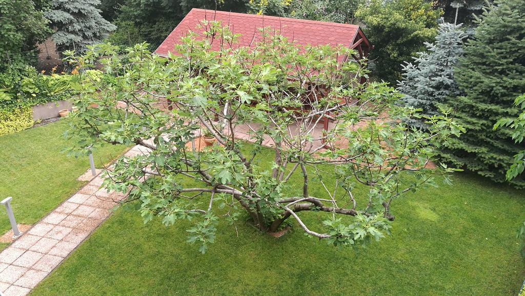Fig Tree House Budapest Exterior photo