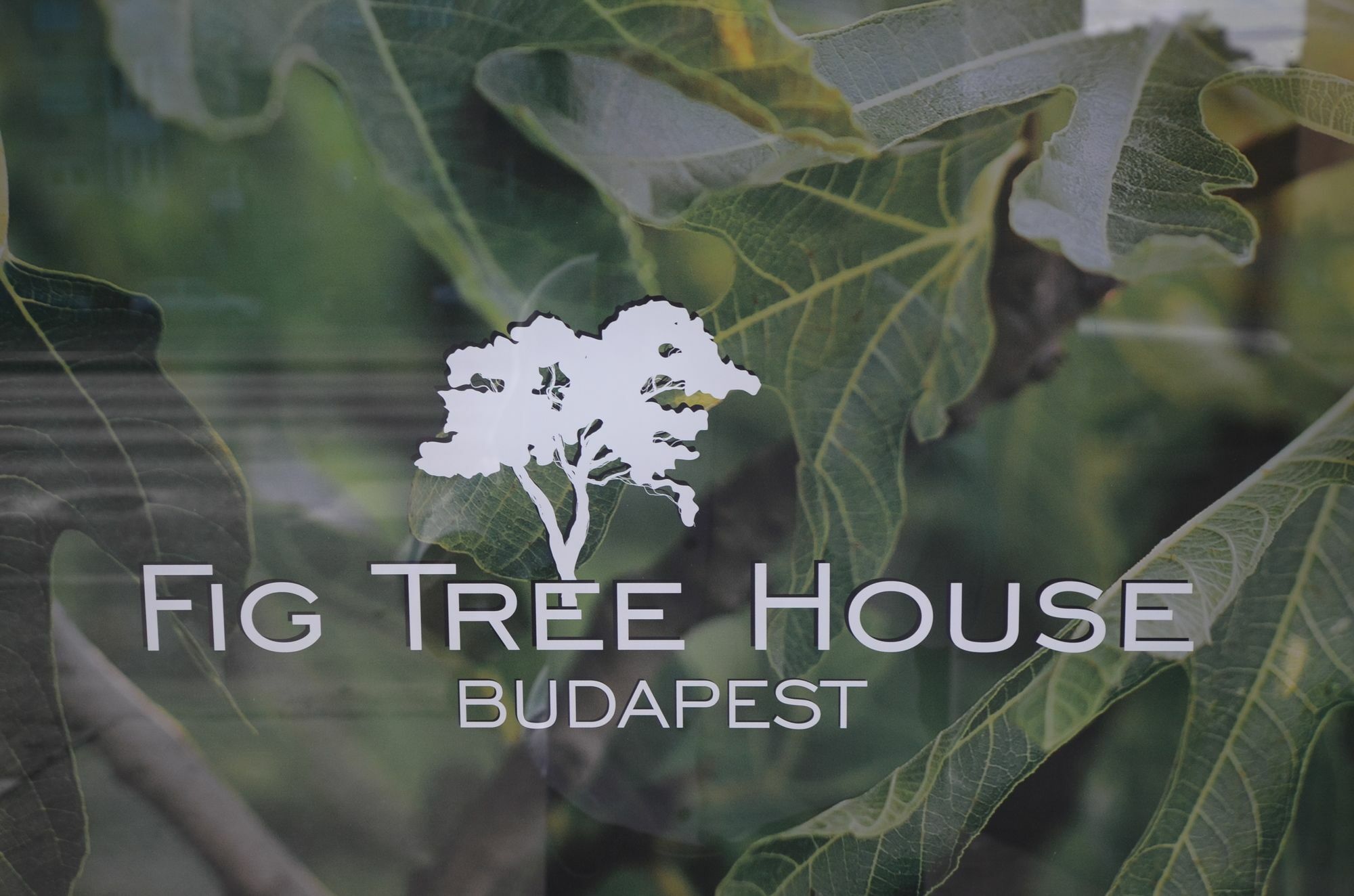 Fig Tree House Budapest Exterior photo